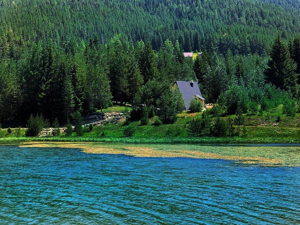 Zminica Lake House Žabljak Exteriér fotografie