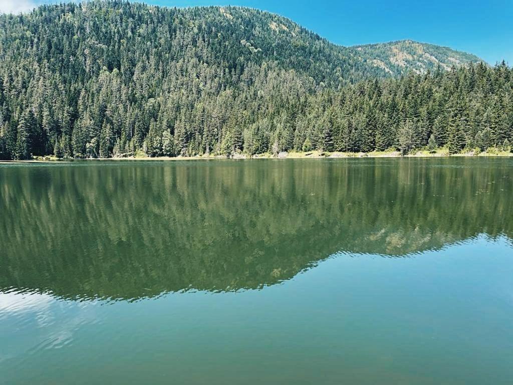 Zminica Lake House Žabljak Exteriér fotografie