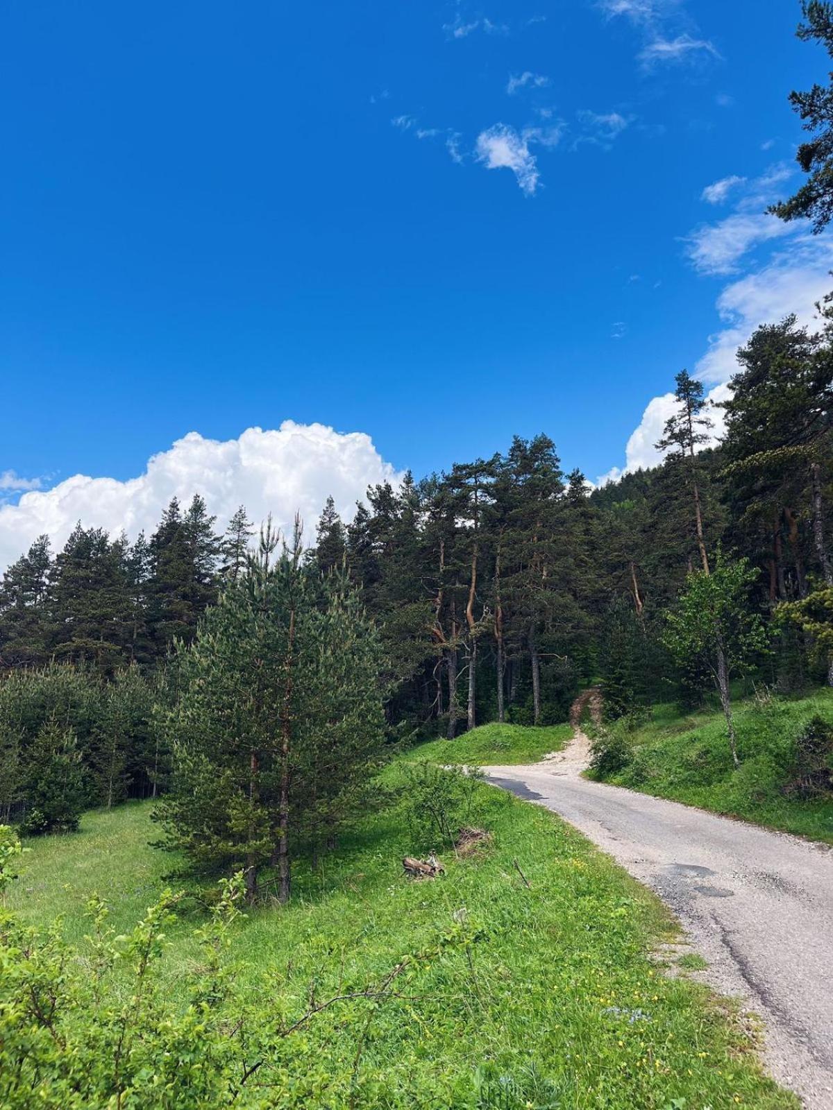 Zminica Lake House Žabljak Exteriér fotografie