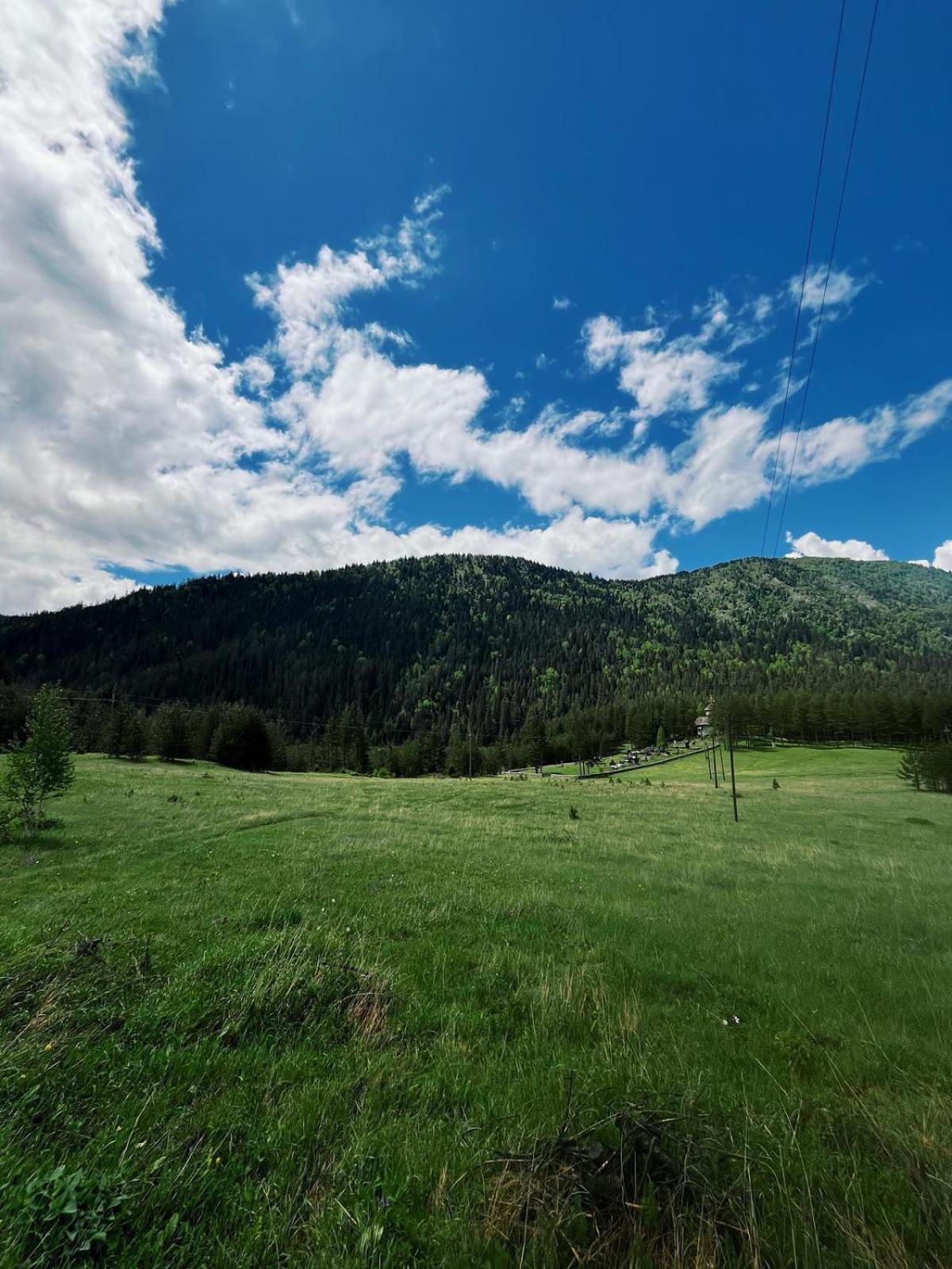 Zminica Lake House Žabljak Exteriér fotografie