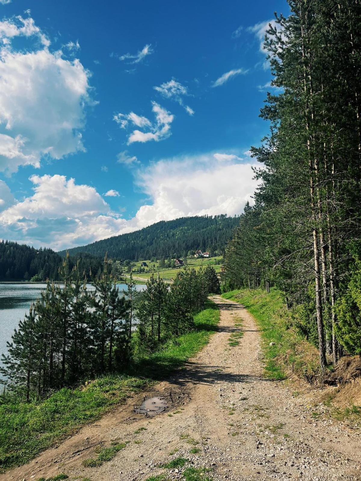 Zminica Lake House Žabljak Exteriér fotografie