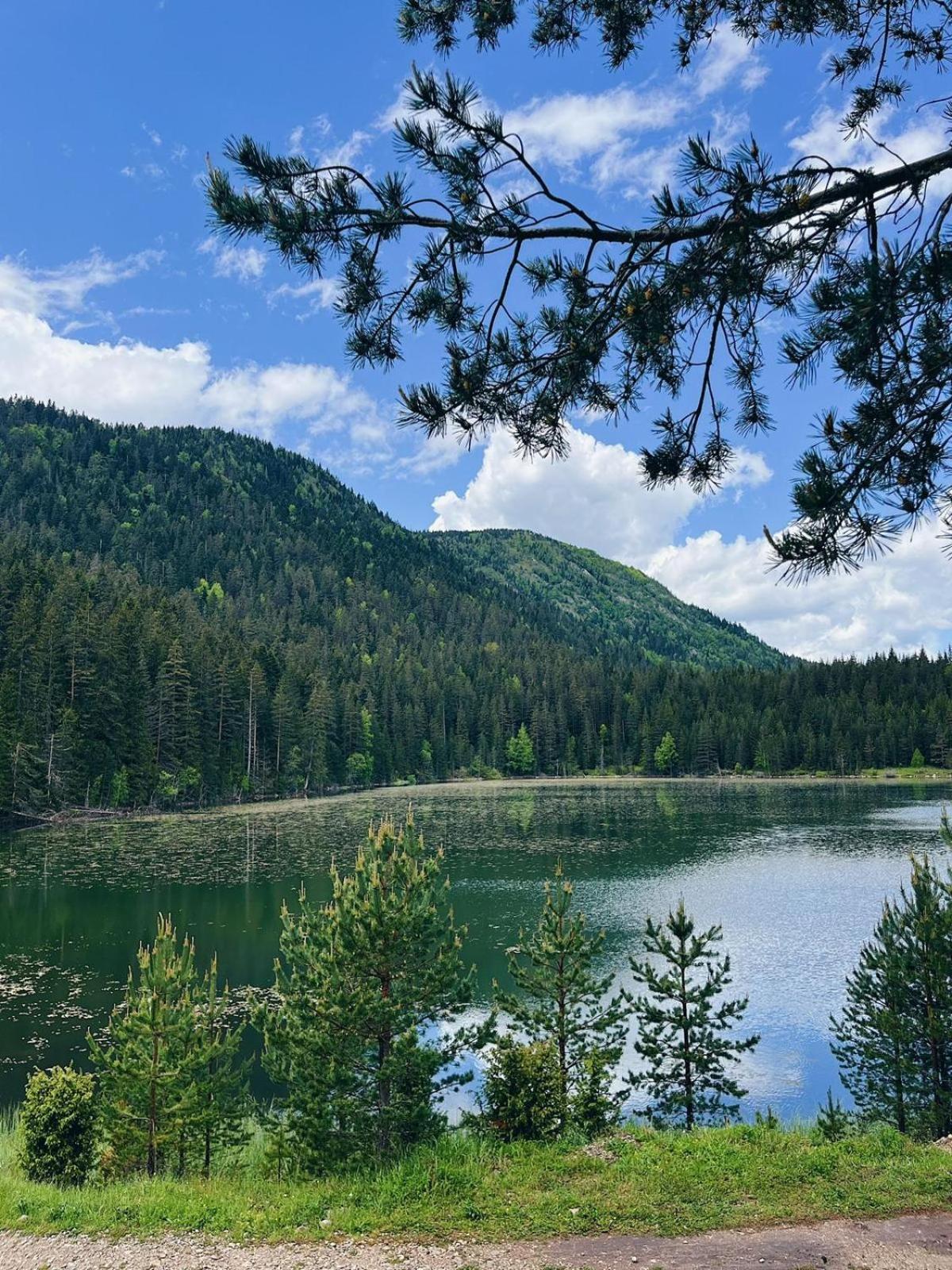 Zminica Lake House Žabljak Exteriér fotografie