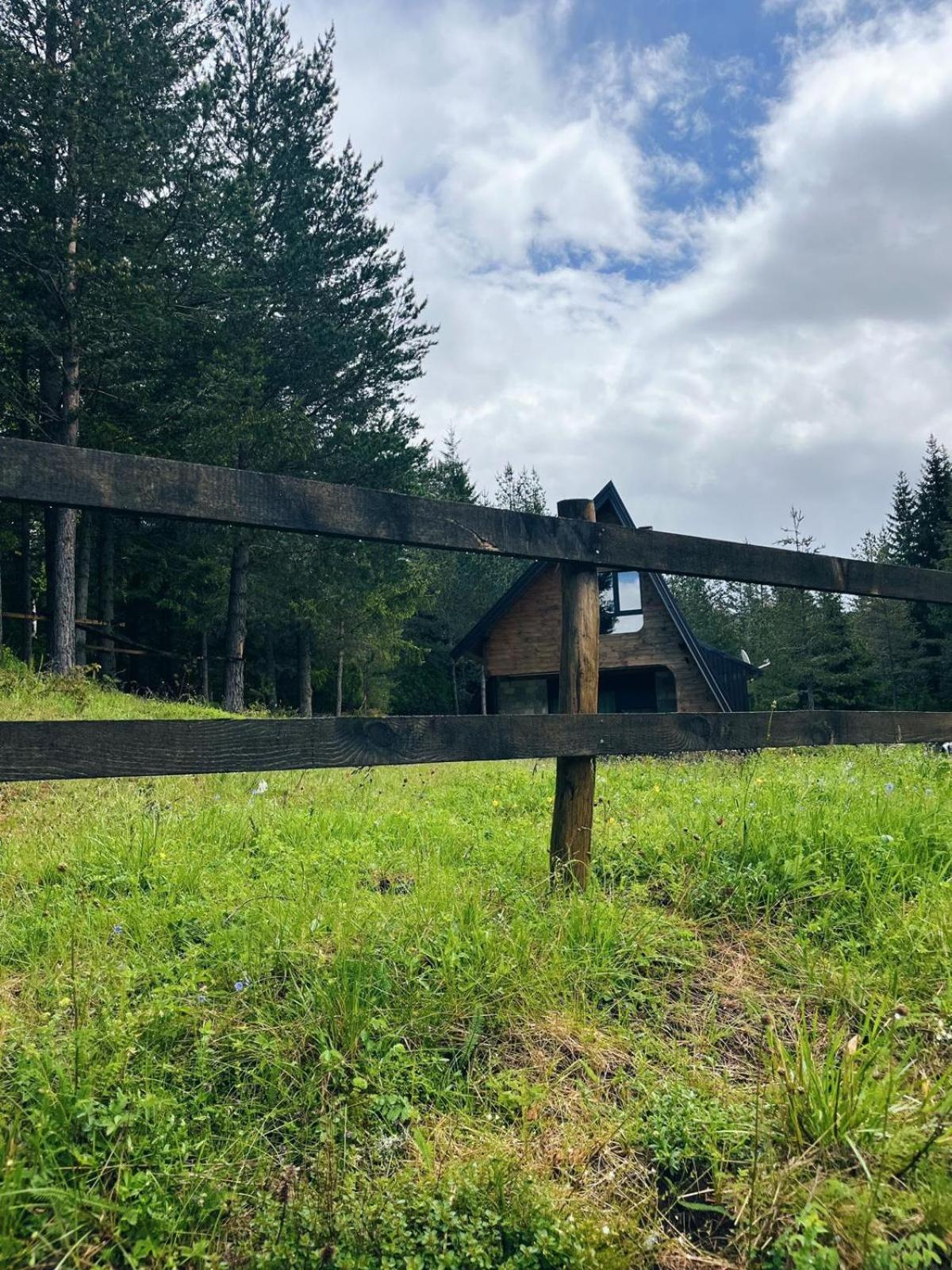 Zminica Lake House Žabljak Exteriér fotografie